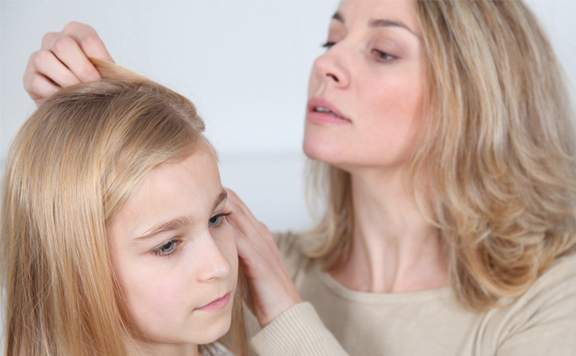 Yazın Haşere Sorunları